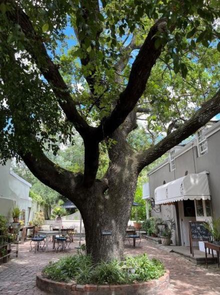 Cafe Felix & Old Oak Manor 호텔 리비크 카스틸 외부 사진