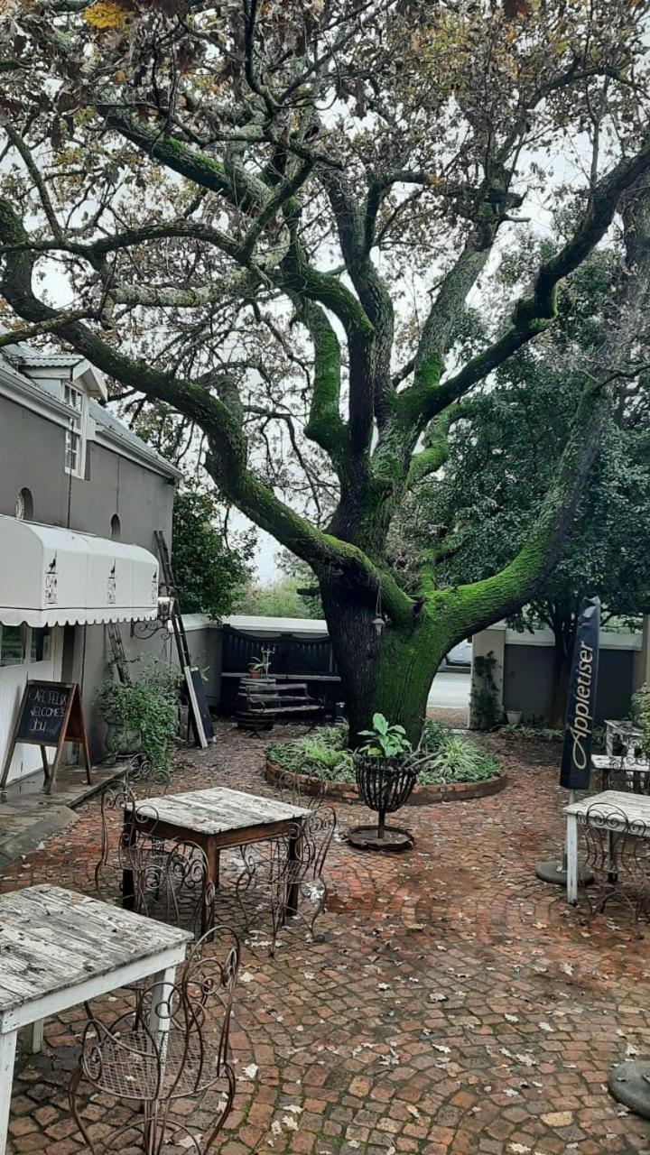 Cafe Felix & Old Oak Manor 호텔 리비크 카스틸 외부 사진